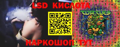 твердый Заводоуковск