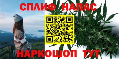 твердый Заводоуковск